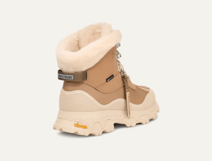 Adirondack Meridian Hiker