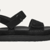 UGG Goldenstar